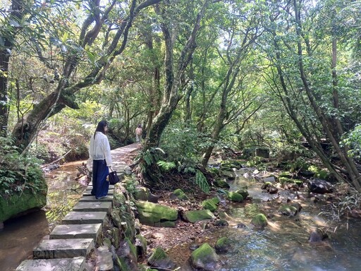 繡球花開迎初夏 北投湖田打造農村風情慢旅日常