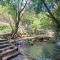 繡球花開迎初夏 北投湖田打造農村風情慢旅日常