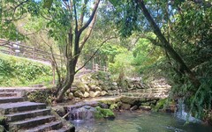 繡球花開迎初夏 北投湖田打造農村風情慢旅日常