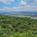 夏至樹影最長情！大地處邀您走入山林看見臺北綠亮點