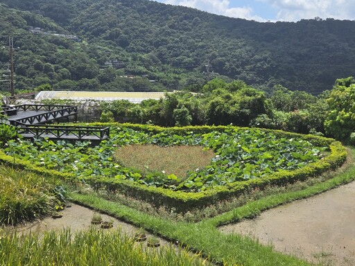 白石湖五大私房秘境串起「愛情密碼」 七夕戀人打卡新熱點