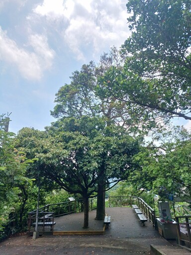 白石湖五大私房秘境串起「愛情密碼」 七夕戀人打卡新熱點