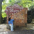 父親節山林小旅行 大地工程處邀爸爸同遊北投品嚐「大屯綠寶石」