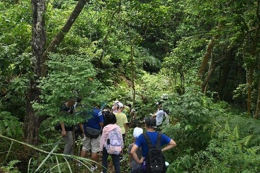 尋找芬多精與森林密碼 大崙頭山週末限定綠色體驗