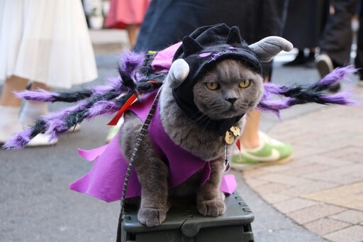 前進日本享受萬聖節多彩盛宴 池袋最大規模 Cosplay 扮裝盛會