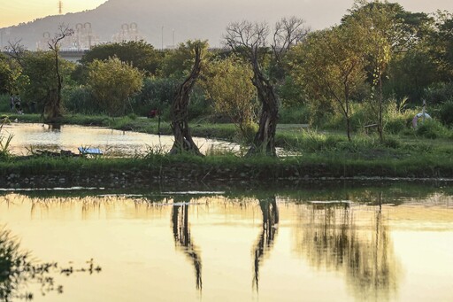秋遊濕地最美打卡點!新北濕地藝術季引眾走入自然美術館