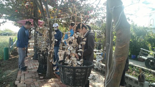 候鳥季來了 嘉義縣文觀局推「鷺境嘉義」親子賞鳥活動