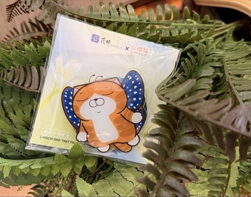 世界唯二奇景「紫蝶幽谷」驚限茂林 白爛貓陪您一起賞蝶