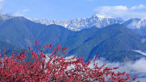 梨山四大鏡頭君美景一覽無遺 上梨山賞雪景看櫻花