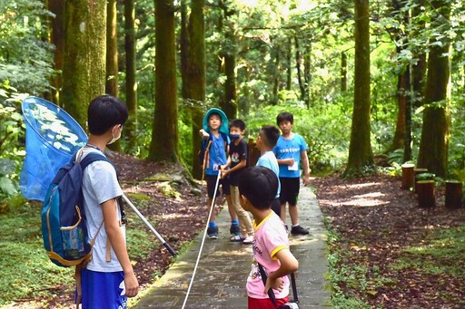 森林裡的夏日學習 到東眼山自然教育中心放暑假