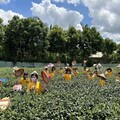 2024台北國際夏季旅展 桃園館推出豐富夏日親子活動與設施