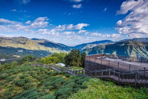 嘉義梅山秋季限定太興「萬鷺朝鳳」 文觀局推薦賞鳥旅遊