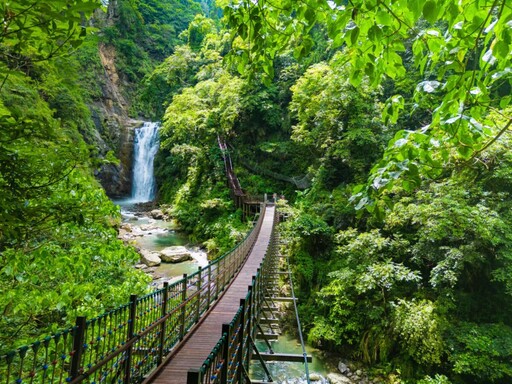 嘉義梅山秋季限定太興「萬鷺朝鳳」 文觀局推薦賞鳥旅遊