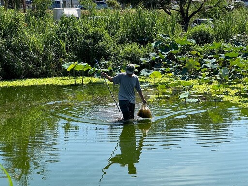 太平溪濕地漫步趣！臺東生態觀察新熱點你我共同守護