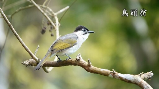 世界動物日開跑！跟縱管處走入與野生動物共存新時代