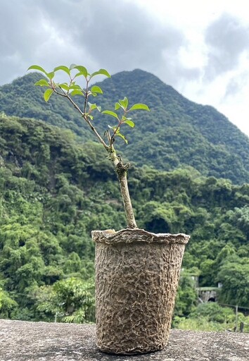 「森植漫步」行動賣所 內洞森林遊樂區10月登場