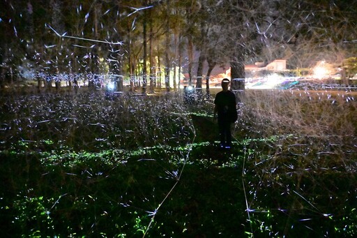 璀燦台東光祭10件巨型燈光藝術作品 知本溫泉體驗自然光域奇幻魅力！