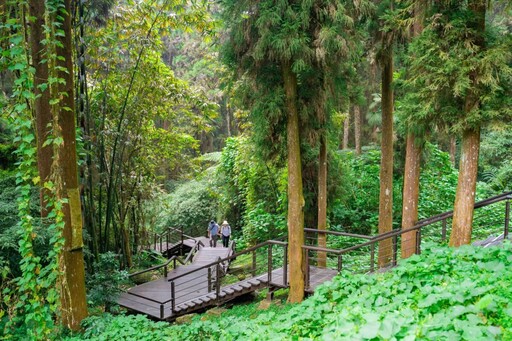 來嘉走走步道尋寶限時加碼 抽阿里山英迪格酒店大禮包