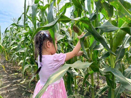 親子同遊最佳選擇「咩咩上樹萌寵樂園」近距接觸可愛水豚