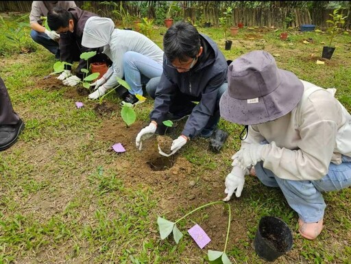 偕同關子嶺在地學校及社區種植民俗植物 西拉雅傳承文化知識