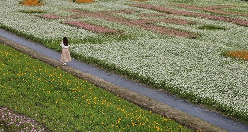 賞遊花海支持好農 2024大溪水岸花卉農遊