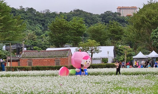 賞遊花海支持好農 2024大溪水岸花卉農遊