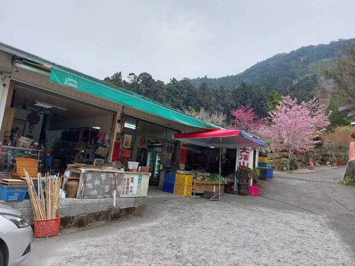 文觀局推薦親子同遊頂湖步道 解鎖人生首座小百岳