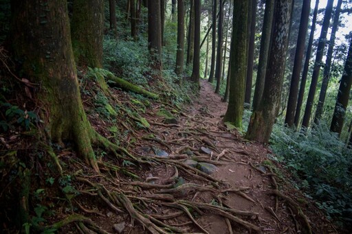 文觀局推薦親子同遊頂湖步道 解鎖人生首座小百岳