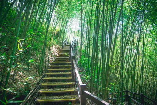 揪好友一起玩石棹 走步道住民宿採茶趣追琉璃光