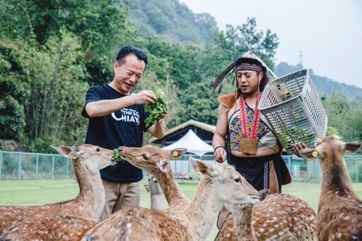 嘉縣親子旅 逐鹿部落餵鹿吃鄒族美食遊公興森態園區