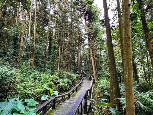 嘉縣親子旅 逐鹿部落餵鹿吃鄒族美食遊公興森態園區