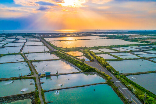 高雄海線冬季限定！組團來吃烏魚子X看漁村風光 每團補助4,500元