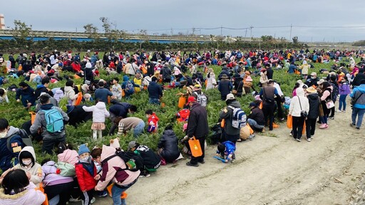 2025年國際台灣胡蘿蔔日3/1登場 1/15開放限量報名