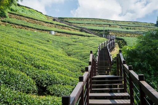 嘉縣參加2025泰國春季旅展 推四季美景與阿里山魅力