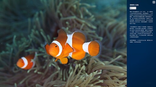 綠島水下視野大突破！東部海岸「湛藍海洋」智慧觀光新紀元