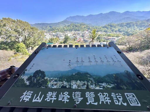 梅山公園梅花綻放 嘉縣邀遊客一同追「平地雪景」