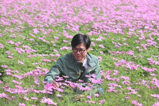 美濃花海開幕！陳其邁邀您漫遊夢幻湖畔花海 好吃好玩好打卡