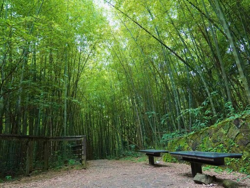 嘉義親子旅遊 走訪太平雲梯品嚐美食