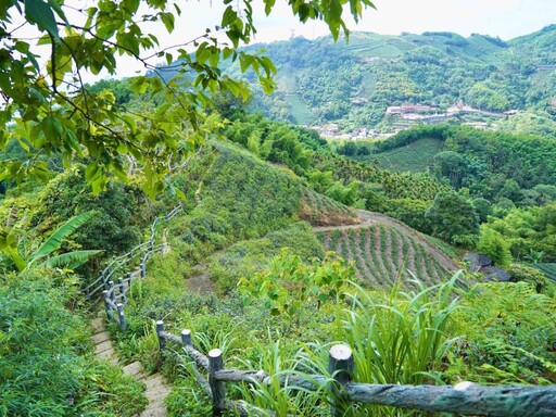 嘉義親子旅遊 走訪太平雲梯品嚐美食