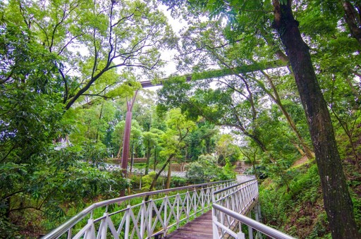 嘉義竹崎親子遊 紙藝茶香鐵道與美食水晶餃完美結合