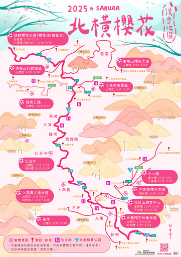 浪漫北橫櫻花季 花況預估可參考「2025北橫櫻花漫步地圖」