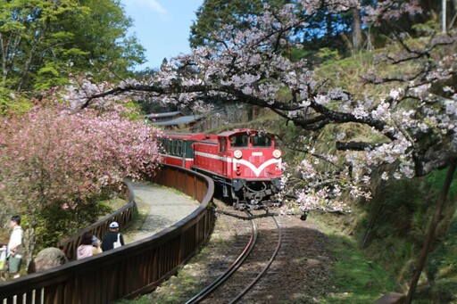 慢遊嘉義與情人一同賞花 春天美景不容錯過