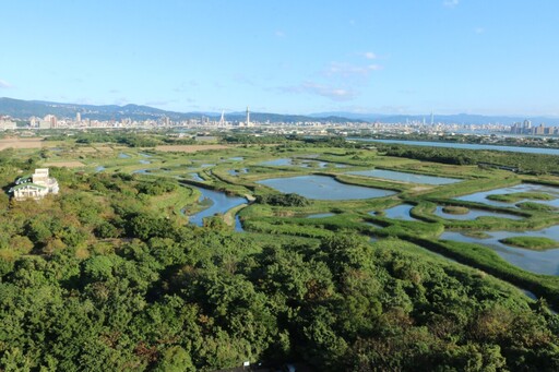 關渡自然公園春季生態活動開跑！共賞候鳥與濕地之美