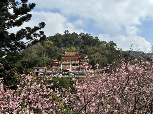 春遊指南風景區 祈福健行賞粉櫻