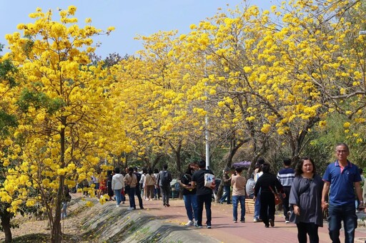 潮風鈴 • 野餐音樂市集3/8起登場 知名歌手樂團輪番登台邀你聽花開聲