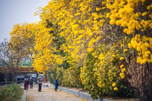 潮風鈴 • 野餐音樂市集3/8起登場 知名歌手樂團輪番登台邀你聽花開聲