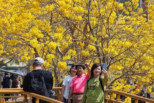 潮風鈴 • 野餐音樂市集3/8起登場 知名歌手樂團輪番登台邀你聽花開聲