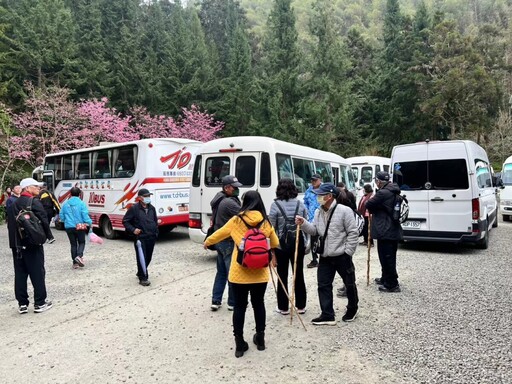 嘉義梅山寒溪呢人文叡地 賞花盛地更是能量園區