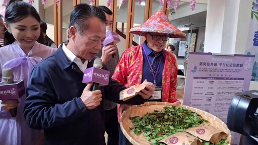 甜蜜「嘉」緣 嘉義瑞里紫藤花季浪漫登場