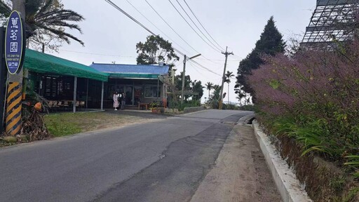 瑞里蕙茗園户外餐廳無菜單料理 遊客賞花享美食